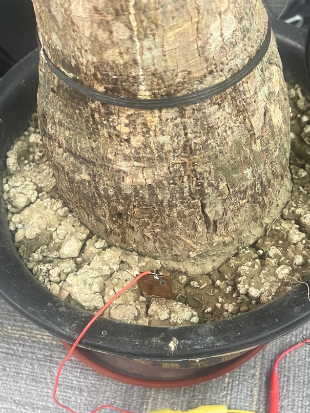 Image: Copper Sheet (Positive Charge) in soil