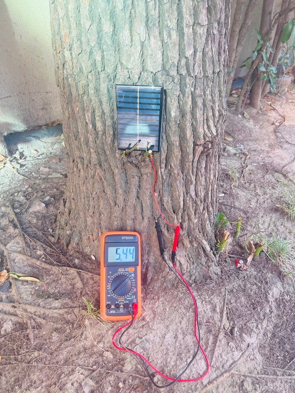 Image: Solar panel mounted in shaded forest environment